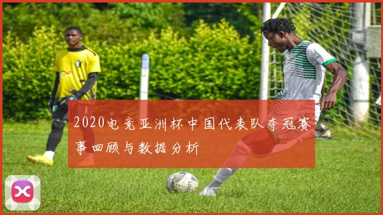 2020电竞亚洲杯中国代表队夺冠赛事回顾与数据分析